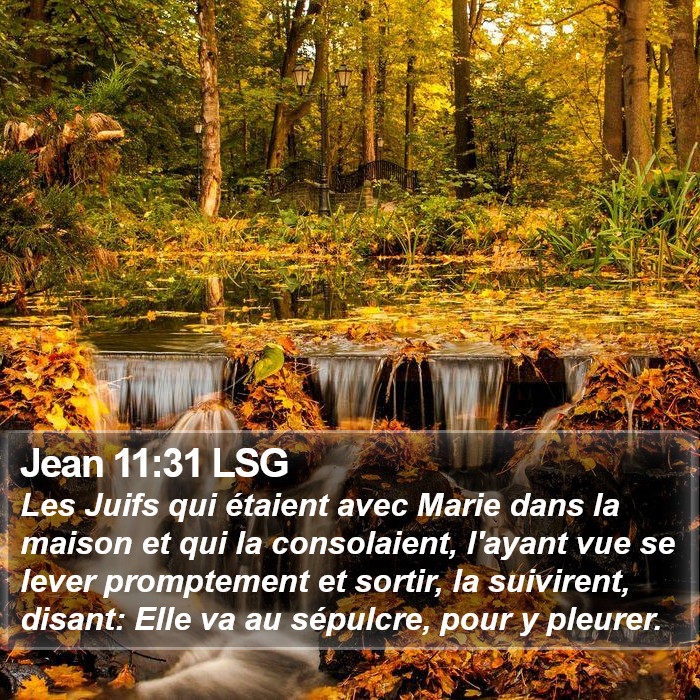 Jean 11:31 LSG Bible Study