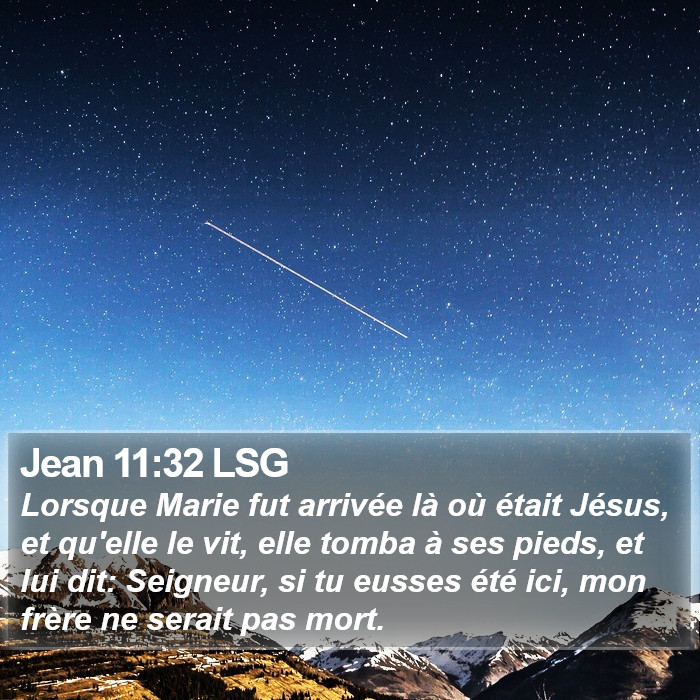 Jean 11:32 LSG Bible Study