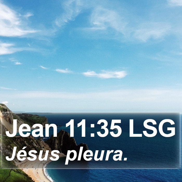 Jean 11:35 LSG Bible Study