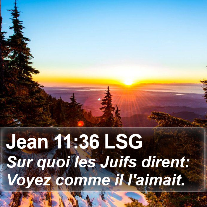 Jean 11:36 LSG Bible Study