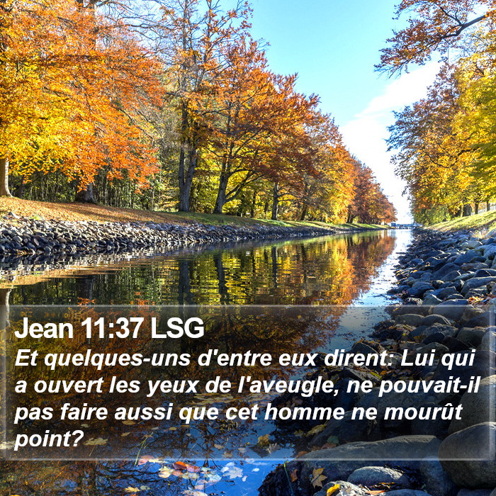 Jean 11:37 LSG Bible Study