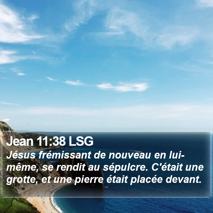 Jean 11:38 LSG Bible Study