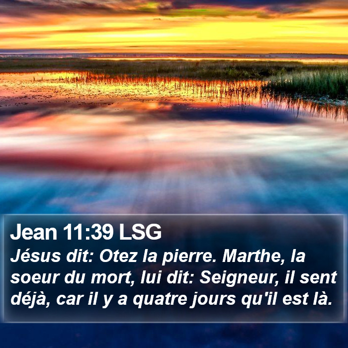 Jean 11:39 LSG Bible Study