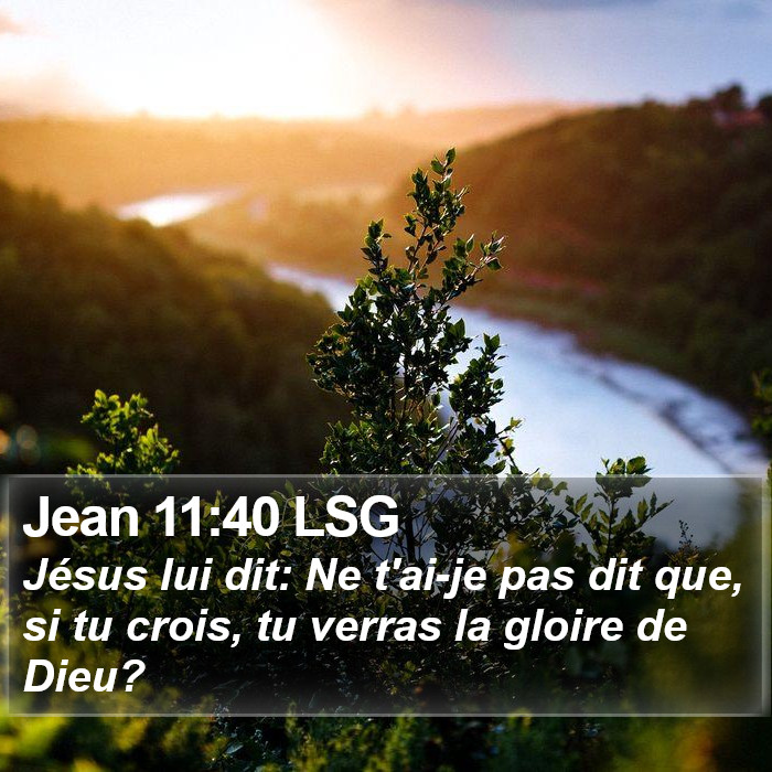 Jean 11:40 LSG Bible Study