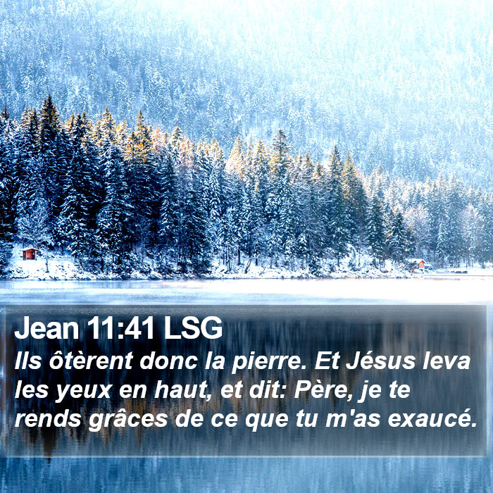 Jean 11:41 LSG Bible Study