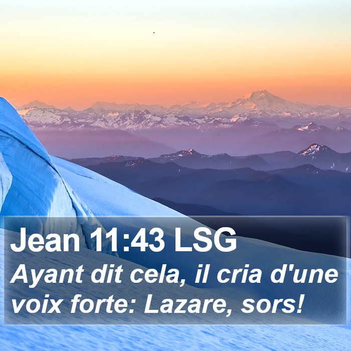 Jean 11:43 LSG Bible Study