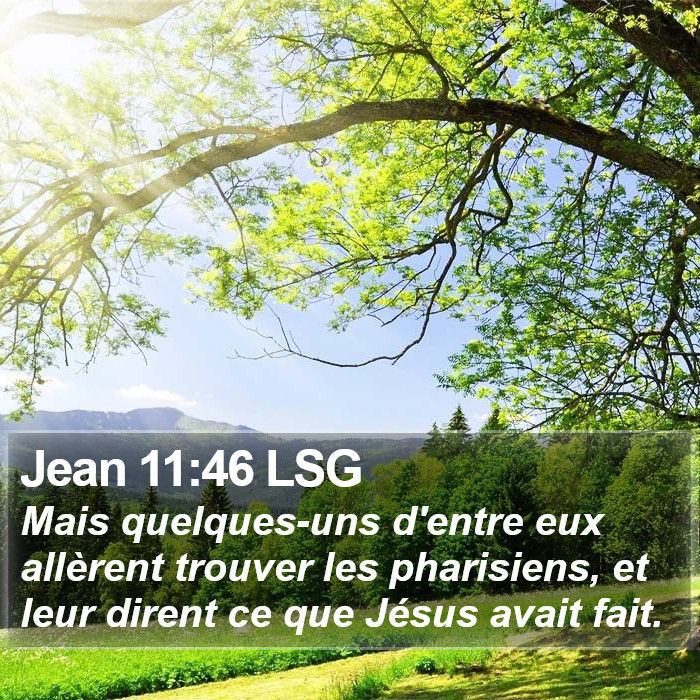 Jean 11:46 LSG Bible Study