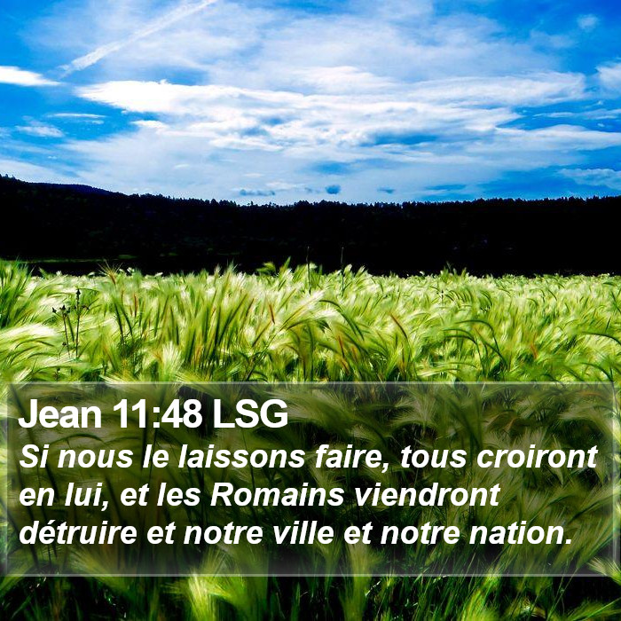 Jean 11:48 LSG Bible Study