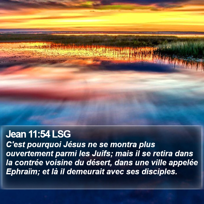 Jean 11:54 LSG Bible Study