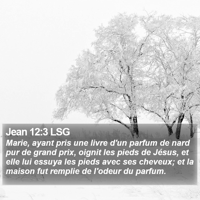 Jean 12:3 LSG Bible Study