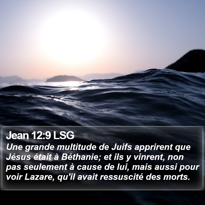 Jean 12:9 LSG Bible Study