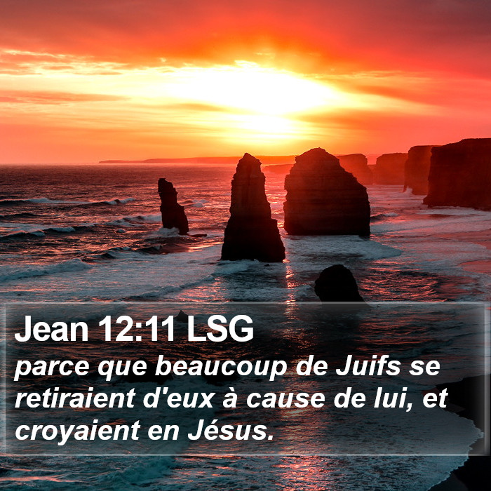 Jean 12:11 LSG Bible Study