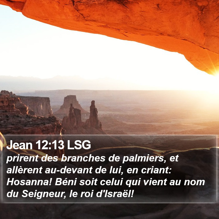 Jean 12:13 LSG Bible Study