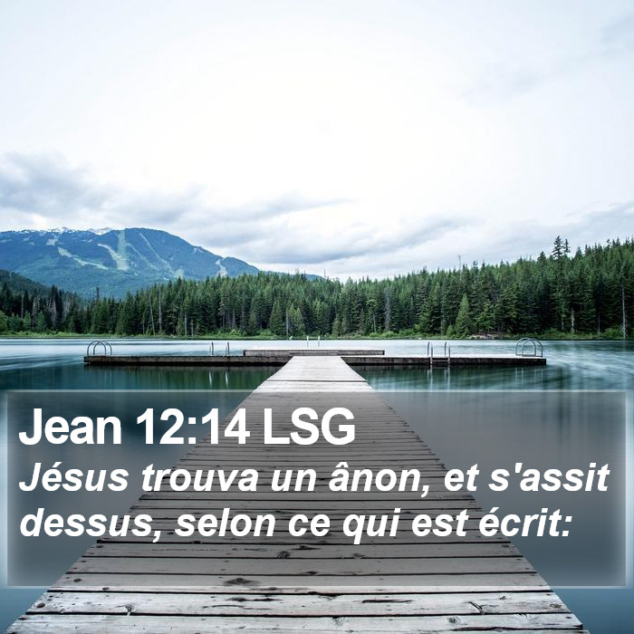 Jean 12:14 LSG Bible Study