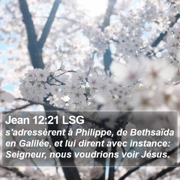 Jean 12:21 LSG Bible Study