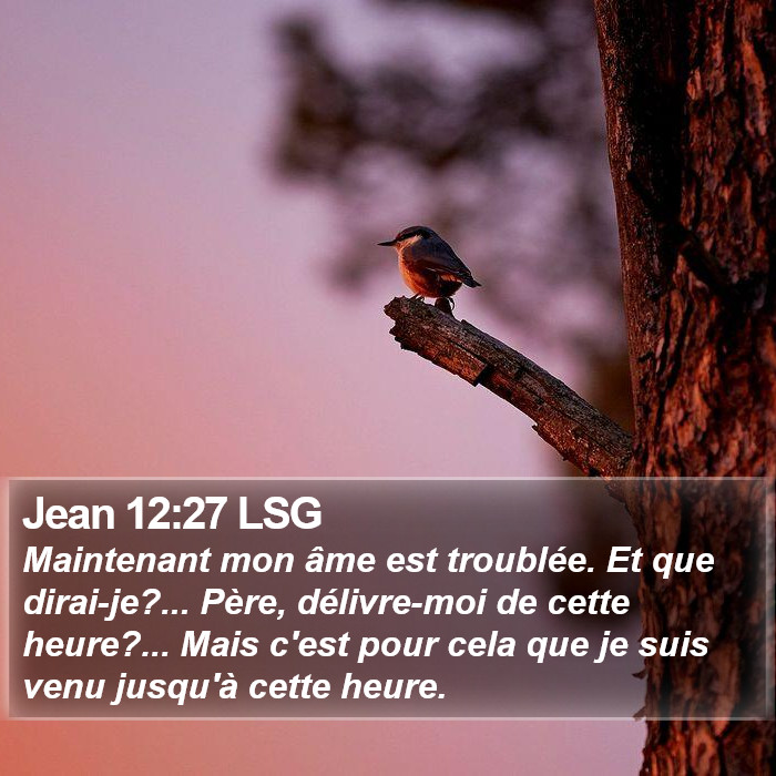 Jean 12:27 LSG Bible Study