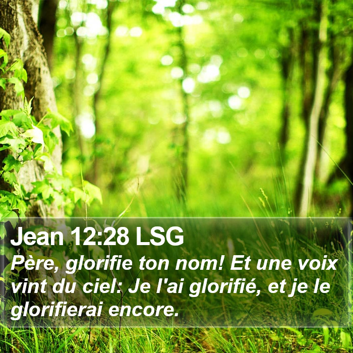 Jean 12:28 LSG Bible Study