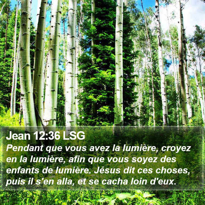 Jean 12:36 LSG Bible Study