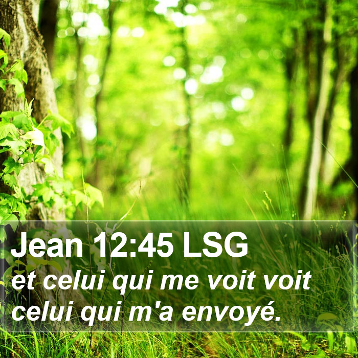 Jean 12:45 LSG Bible Study