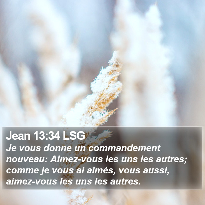 Jean 13:34 LSG Bible Study