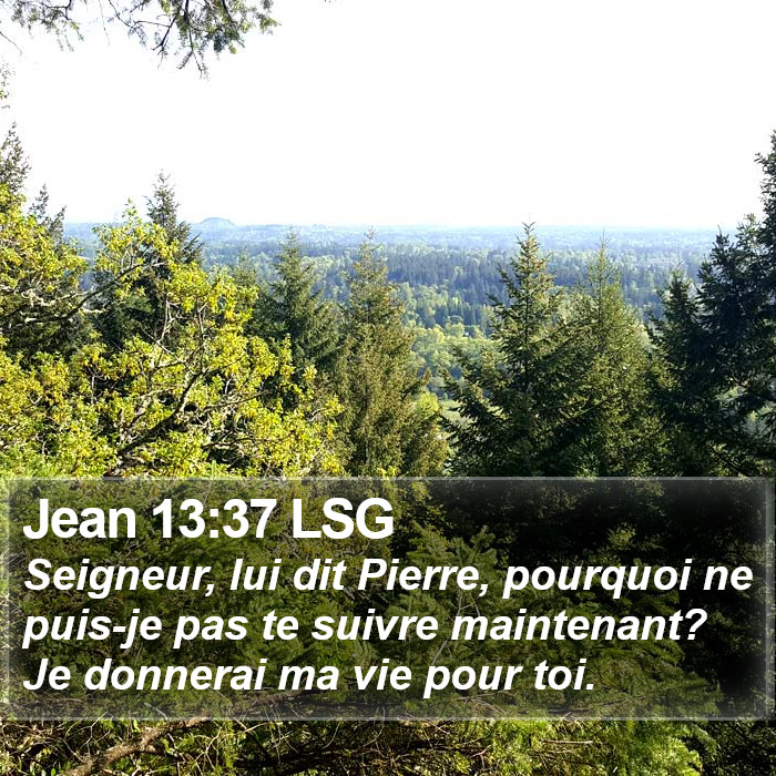 Jean 13:37 LSG Bible Study