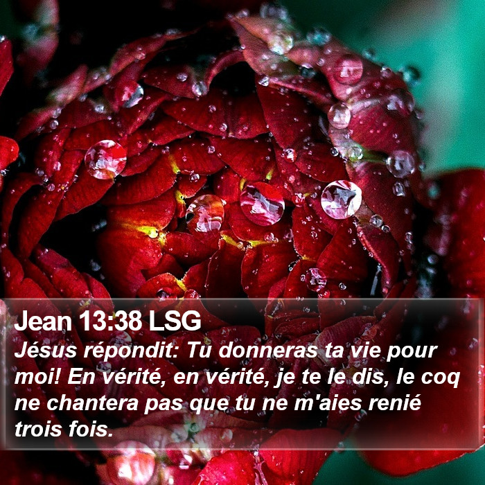 Jean 13:38 LSG Bible Study