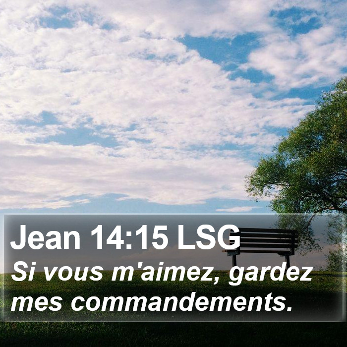 Jean 14:15 LSG Bible Study