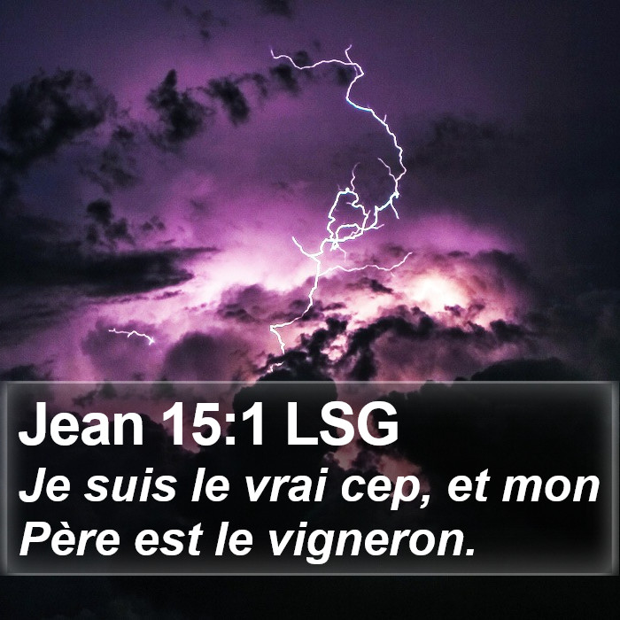 Jean 15:1 LSG Bible Study