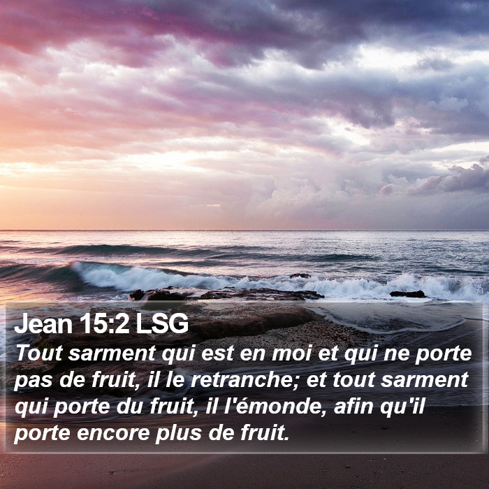 Jean 15:2 LSG Bible Study