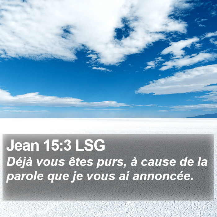 Jean 15:3 LSG Bible Study