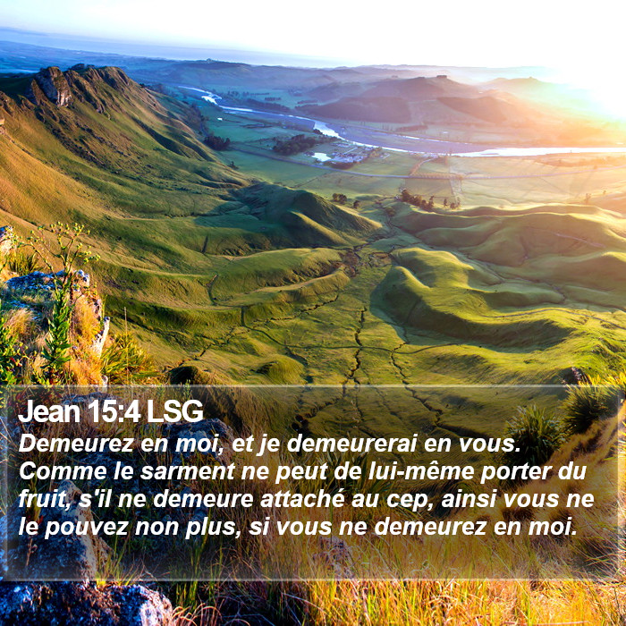 Jean 15:4 LSG Bible Study