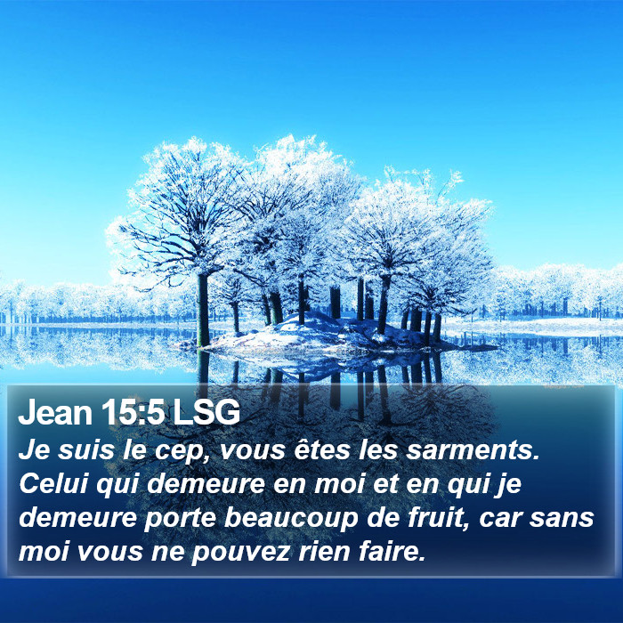 Jean 15:5 LSG Bible Study
