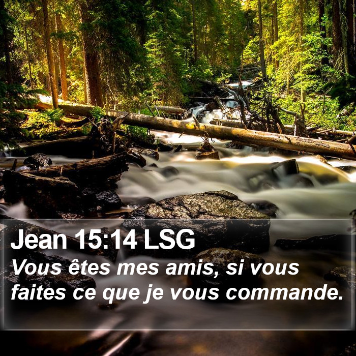 Jean 15:14 LSG Bible Study