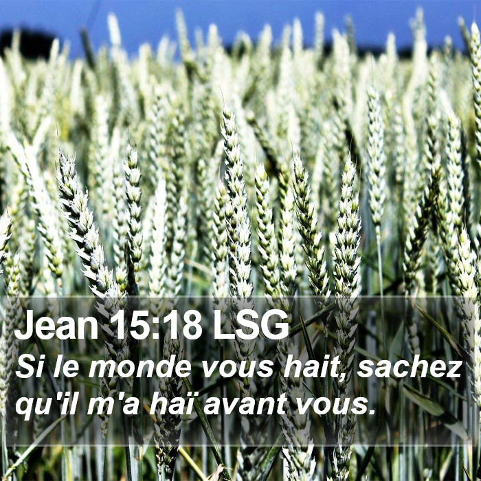 Jean 15:18 LSG Bible Study