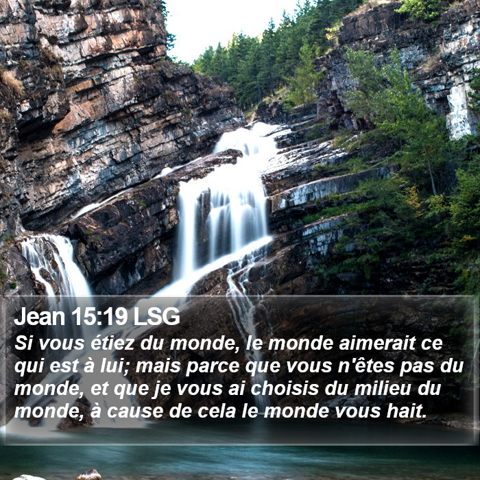 Jean 15:19 LSG Bible Study
