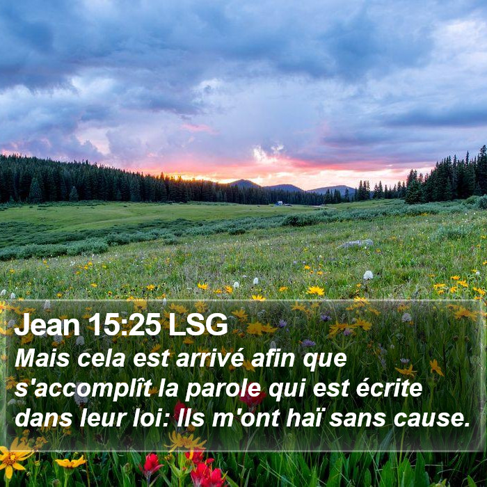 Jean 15:25 LSG Bible Study