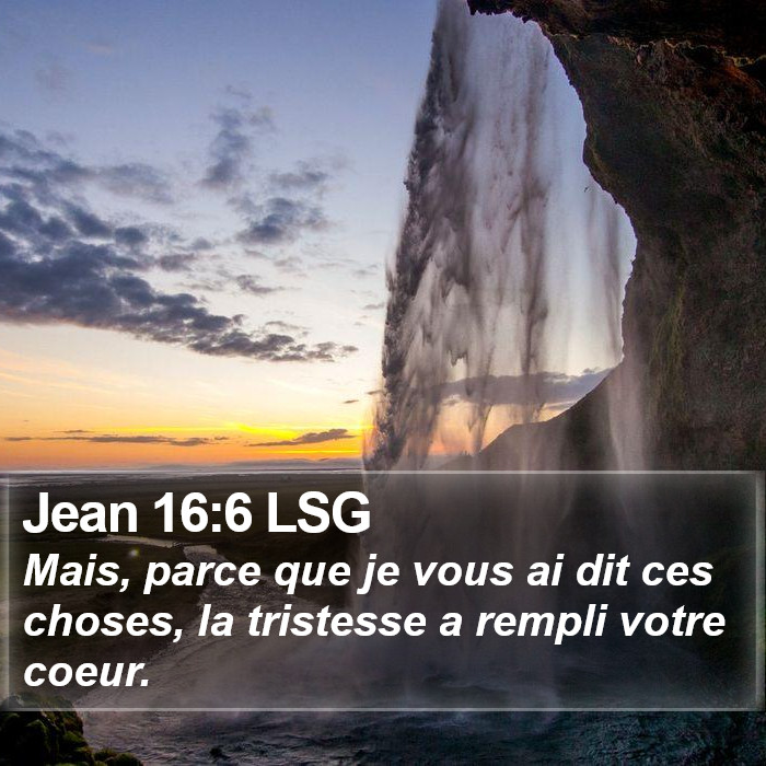 Jean 16:6 LSG Bible Study