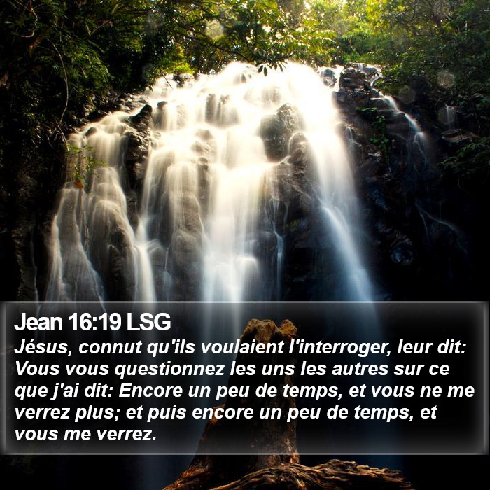 Jean 16:19 LSG Bible Study