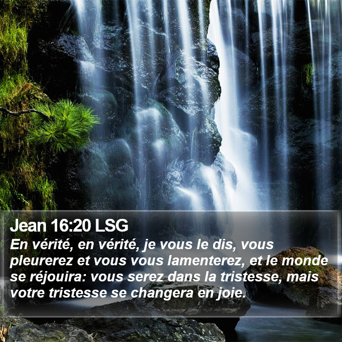 Jean 16:20 LSG Bible Study