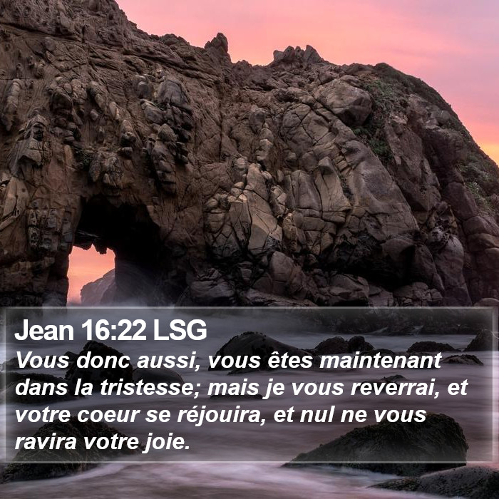 Jean 16:22 LSG Bible Study