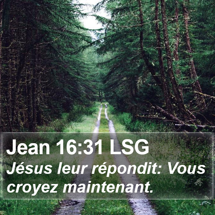 Jean 16:31 LSG Bible Study