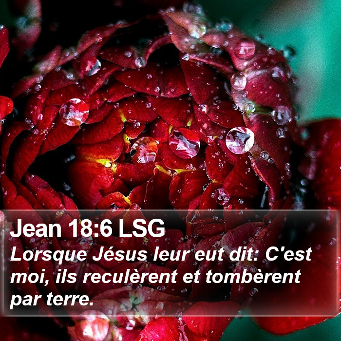 Jean 18:6 LSG Bible Study