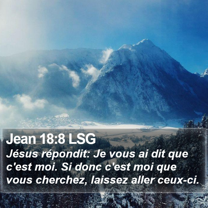 Jean 18:8 LSG Bible Study