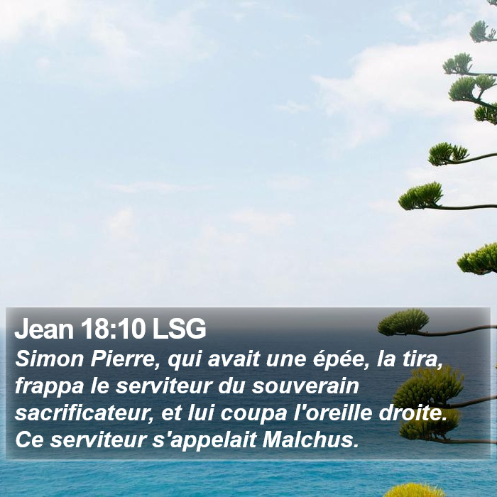 Jean 18:10 LSG Bible Study