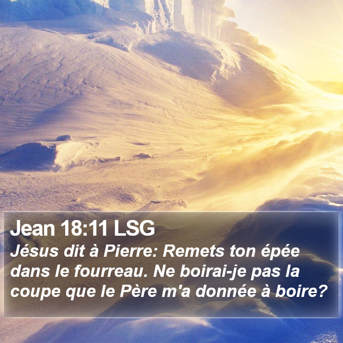 Jean 18:11 LSG Bible Study