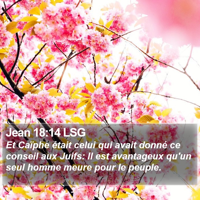 Jean 18:14 LSG Bible Study