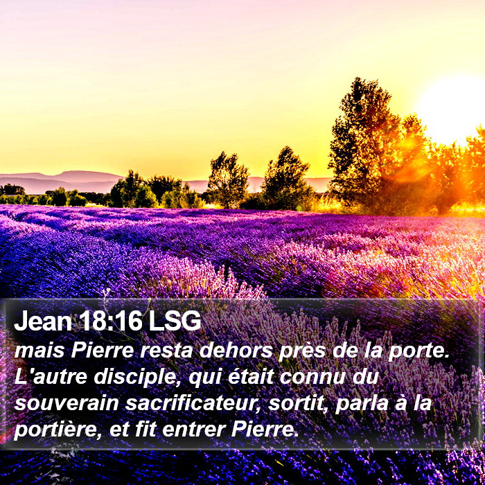 Jean 18:16 LSG Bible Study