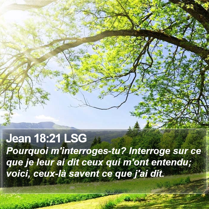 Jean 18:21 LSG Bible Study