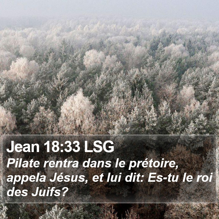 Jean 18:33 LSG Bible Study