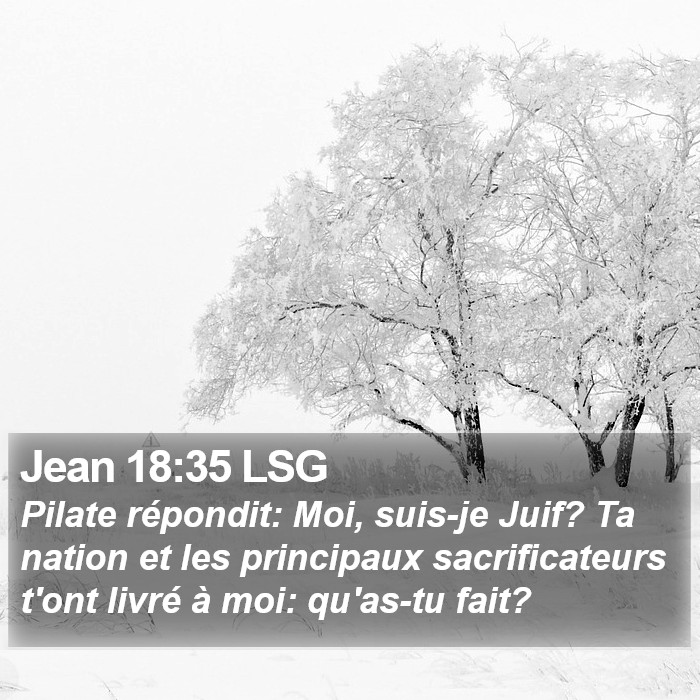 Jean 18:35 LSG Bible Study